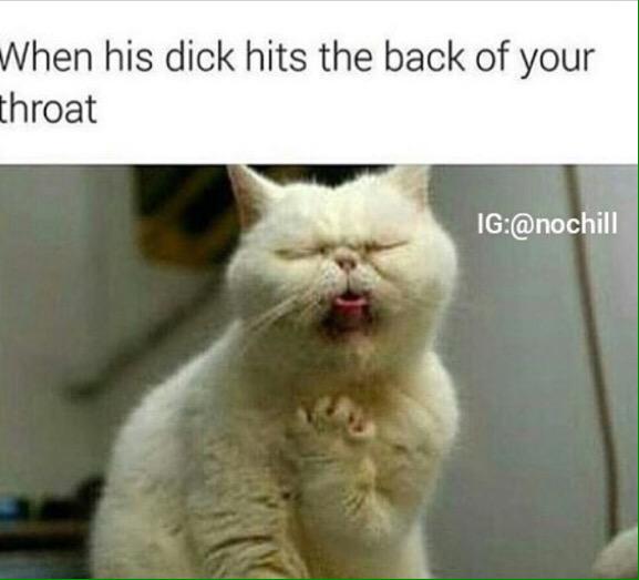 kelsallen2's tweet photo. The shit Shelby sends me sometimes 😂 http://t.co/Wpsz3yGcj5