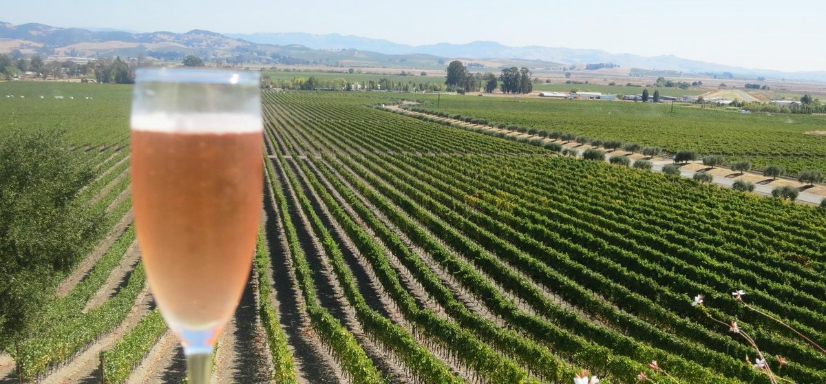 TravelChannel_'s tweet photo. Wine Weekends Even The Kids Will Love: https://t.co/3lZ82uCRYw https://t.co/h8RiexYimf #Twitter Please RT
