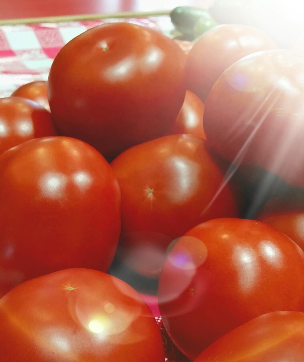 KlackleOrchards's tweet photo. We make produce shopping EASY! #Peaches #Blueberries #Tomatoes #Onions #Potatoes #Melon #APPLES #AllLocal #MIFarmers http://t.co/ExwE5CQklF