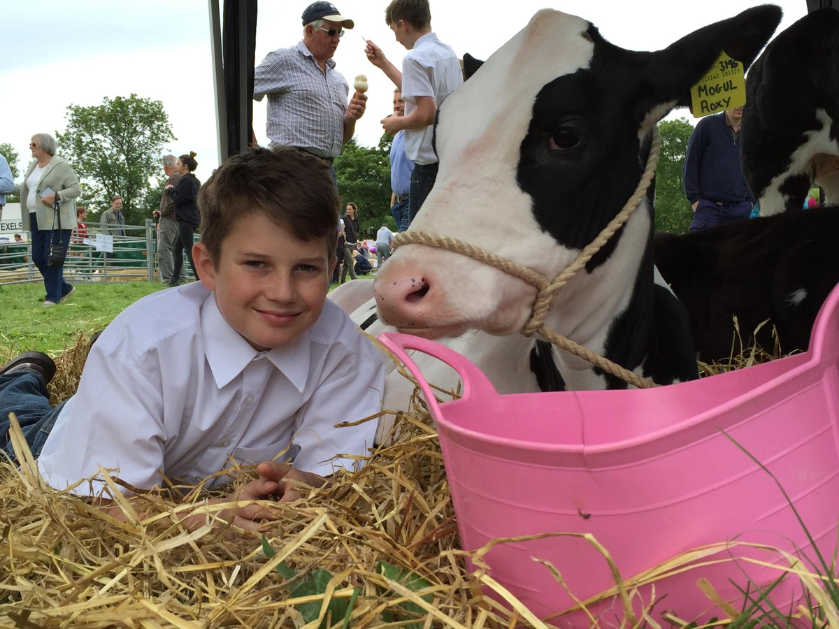 TomMurphyTM's tweet photo. Just back from Hawkshead Show. Report and pictures in this week's @gazettenewsdesk http://t.co/2b2tpYrqlX