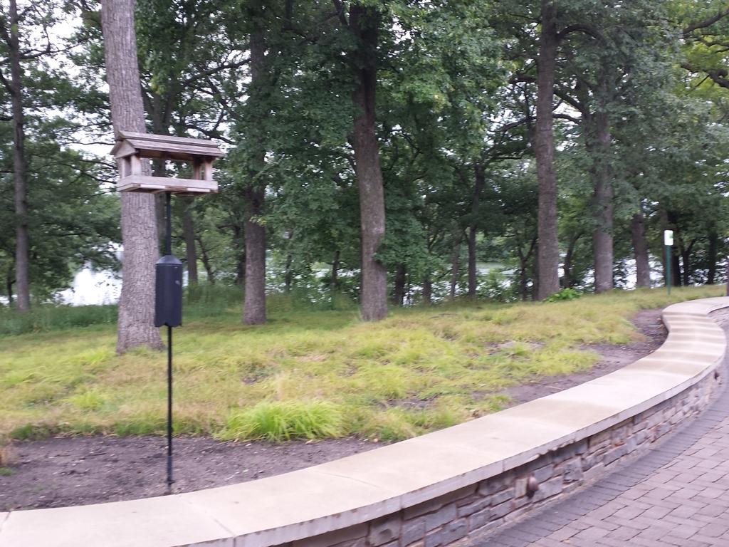 wilsandrea's tweet photo. So excited to kick-off our WVR Summer Institute at the beautiful #silverwoodpark! #campinquiry #wvrstem http://t.co/P1S0Ruzm4w