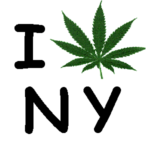 TheKushtopia's tweet photo. five more states are planning to push for the full legalization of marijuana http://t.co/awrSVs7zyP http://t.co/GGrFmewN0E