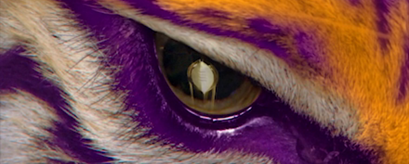 LSUfootball's tweet photo. Nice work, @ESPNCFB and @CFBPlayoff. The Eye of the Tiger is focused. We can’t wait for the season to start. http://t.co/23rhc2LEtB