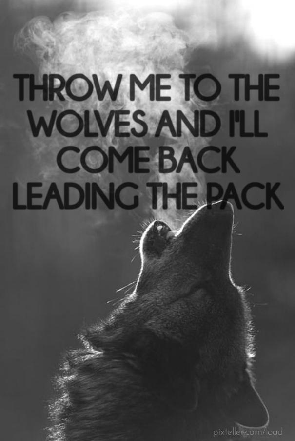 summit_natural's tweet photo. We lead the pack by bringing you the first #Natural #Fitness #expo. Show us what you got!  http://t.co/29zPBdNkp3 http://t.co/wNynM6llKQ