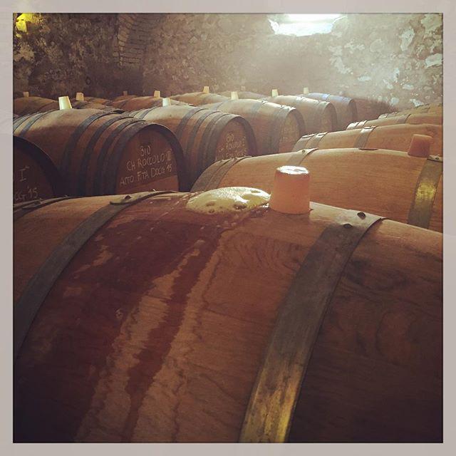 UcciB's tweet photo. Qua è tutto in fermento #franciacorta #chardonnay #organicwines #harvest #ilmosnel #italia… http://t.co/Zd7BqZKIvA http://t.co/ceyZkF6rGm