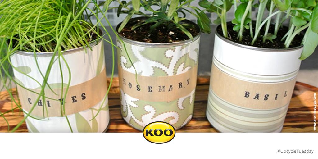 KOO_Food's tweet photo. Try some DIY gifting with these cute herb planters using all your old KOO tins #UpcycleTuesday http://t.co/PxiguAzspG