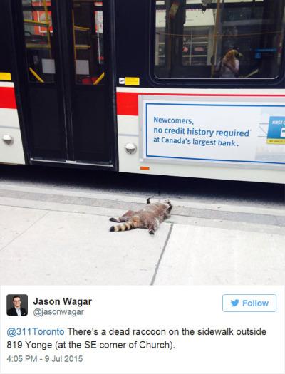 TurcanMarie's tweet photo. Le mec qui a ajouté un CADRE AVEC UNE PHOTO http://t.co/6m8zjoHhmn