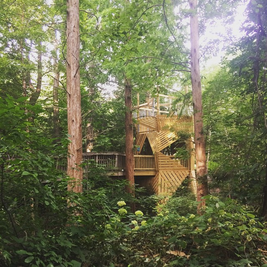 KentCAED's tweet photo. #KentCAED alumni designed or helped design 4 of 5 treehouses at @CBGarden! This is Twisted Tree by @vocon http://t.co/KKEaRrA2l1