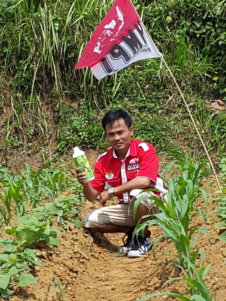 MPN_HMPI's tweet photo. Program HMPI selanjutnya ekonomi kerakyatan sosialisasi Pupuk Organik Cair Murah Bio Intra HMPI dr Pabrik Bapak Tommy http://t.co/fbsvCYR5TS