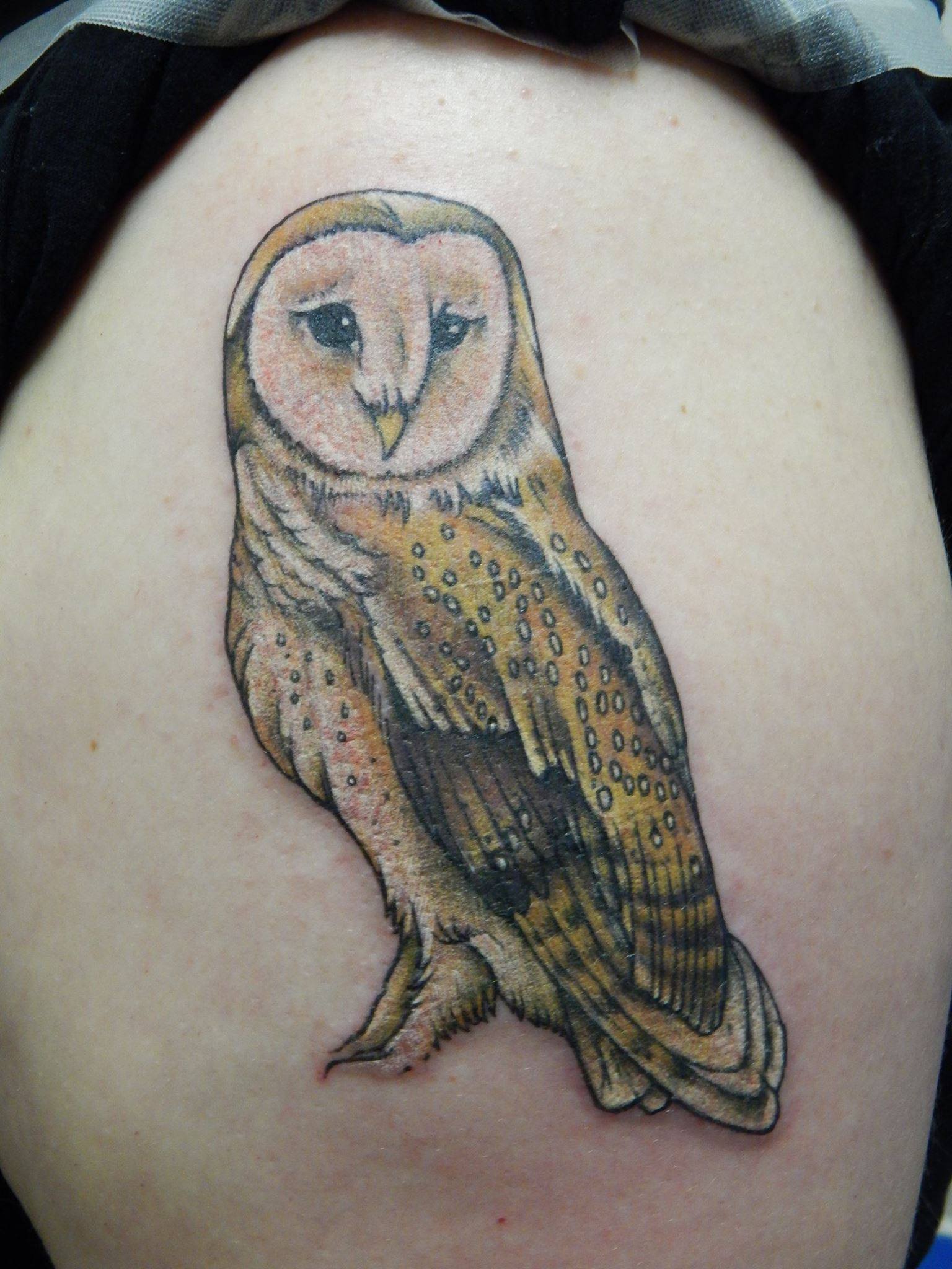 3400 Owl Tattoo Stock Photos Pictures  RoyaltyFree Images  iStock   Owl drawing Owl art Star tattoo