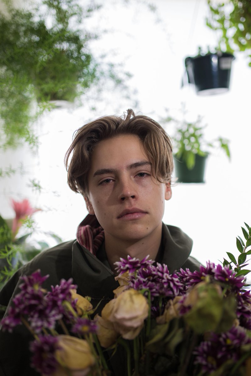 colesprouse's tweet image. Mad dog, Glad dog, Sad Dog.  New photo shoot - they asked for color this time