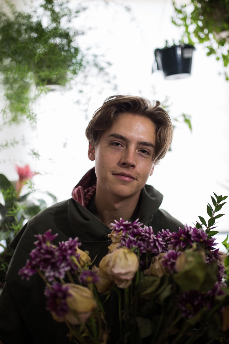 colesprouse's tweet image. Mad dog, Glad dog, Sad Dog.  New photo shoot - they asked for color this time