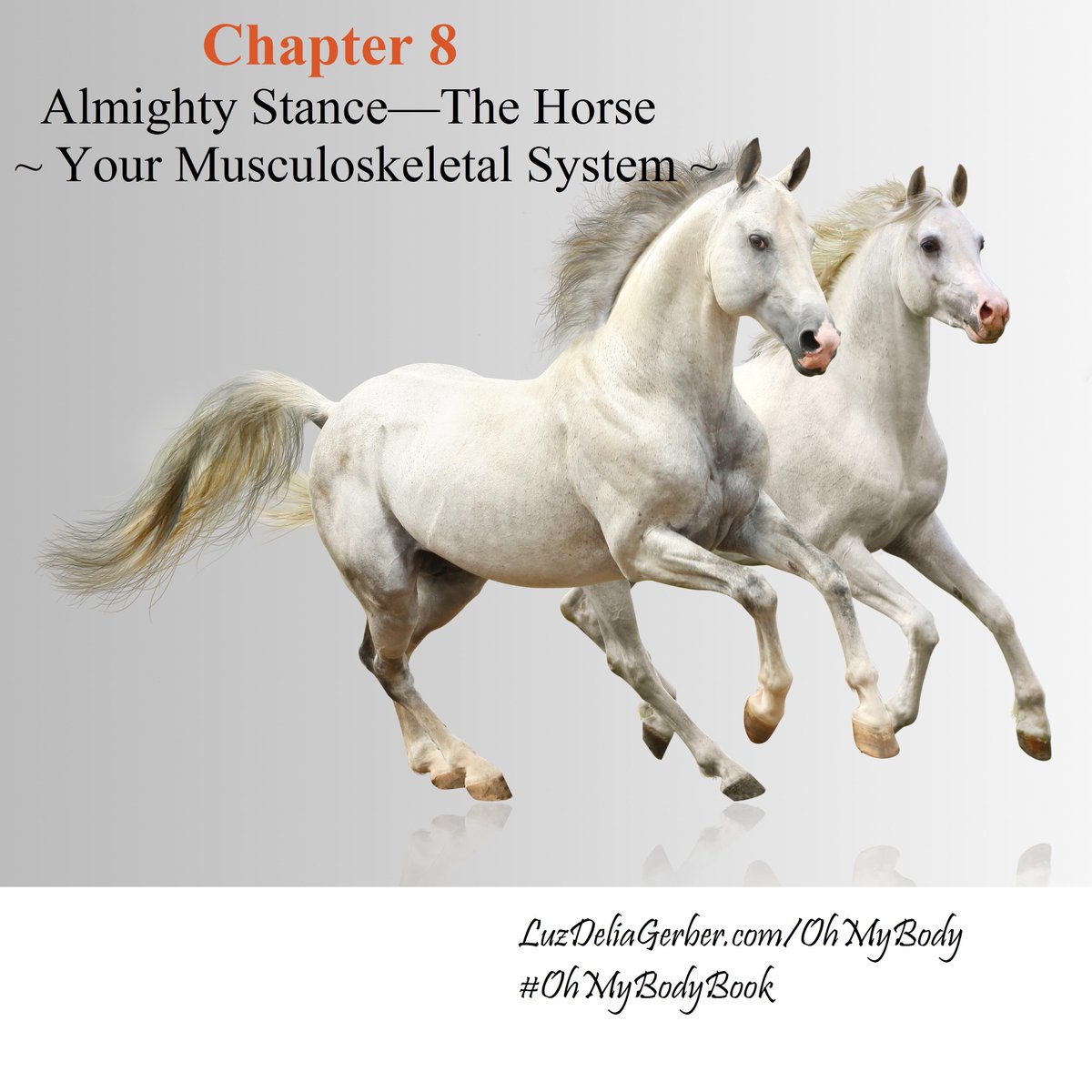 luzdeliagerber's tweet image. Almighty Stance - The Horse #musculoskeletal #musculoskeletalsystem #OhMyBodyBook LuzDeliaGerber.com/OhMyBody