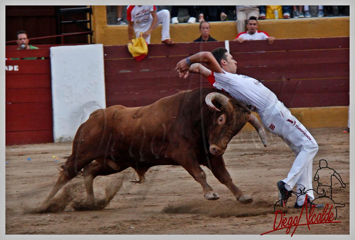 <a href="/cristianmoras90/">Cristian Moras</a> DISFRUTANDO EN EL POLLOS 2015 <a href="/toropasion/">Toropasión</a>