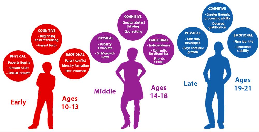 what are the developmental stages of adolescence