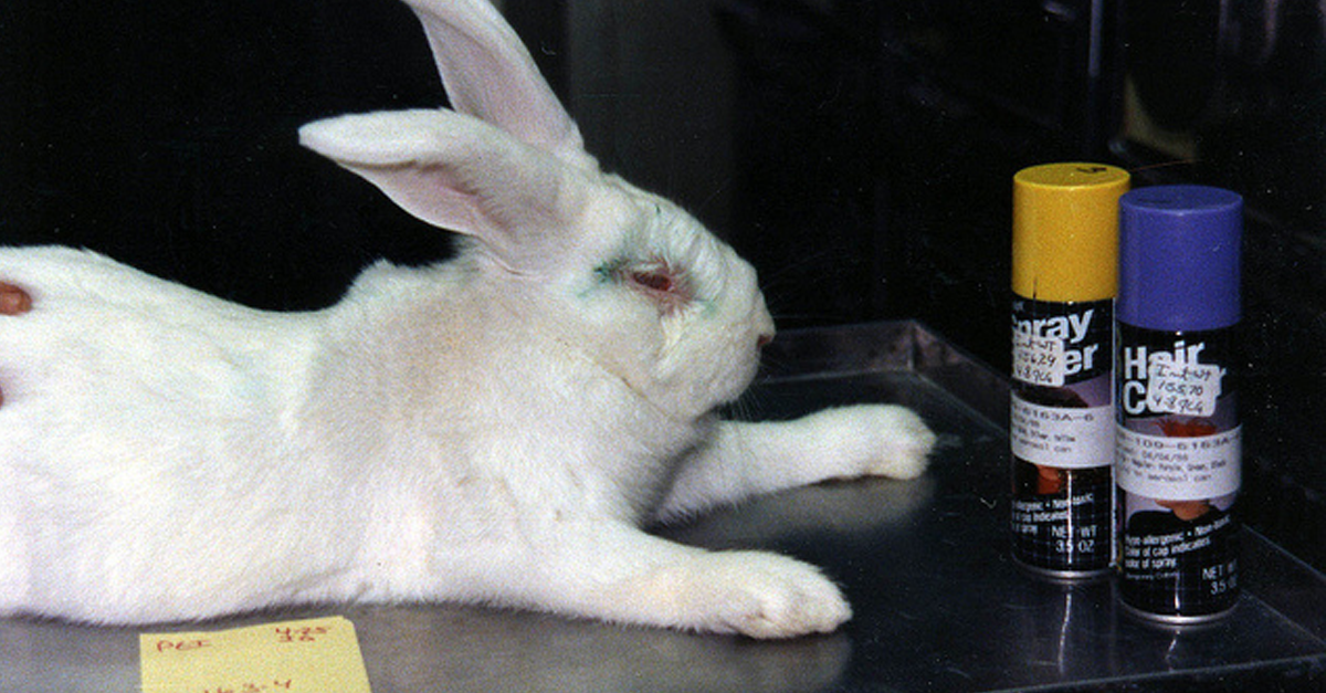PETAShares's tweet photo. π used for experiments are often kept in tiny cages, never able to see sunlight or breathe fresh air. #NotExperiments http://t.co/iDbpHJfcep