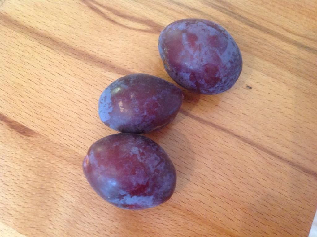 BlunderousBaker's tweet photo. Help! Do you know if these are #plums or #damsons ? Picking them from the garden to make #jam and want to make sure http://t.co/l1Nu5drwaQ