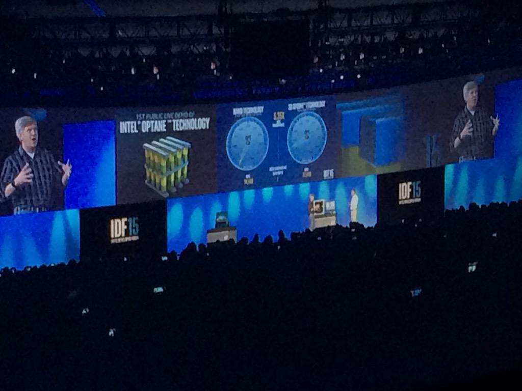 Estelle Hong tweet media