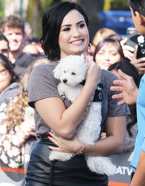 cellbitmacumba's tweet image. tanta saudades da demi postando fotos do buddy #CoolForTheSummerVMA
