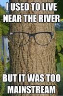 HarderServices's tweet image. Tree puns lol  #jokes #treepun #treechat #trees