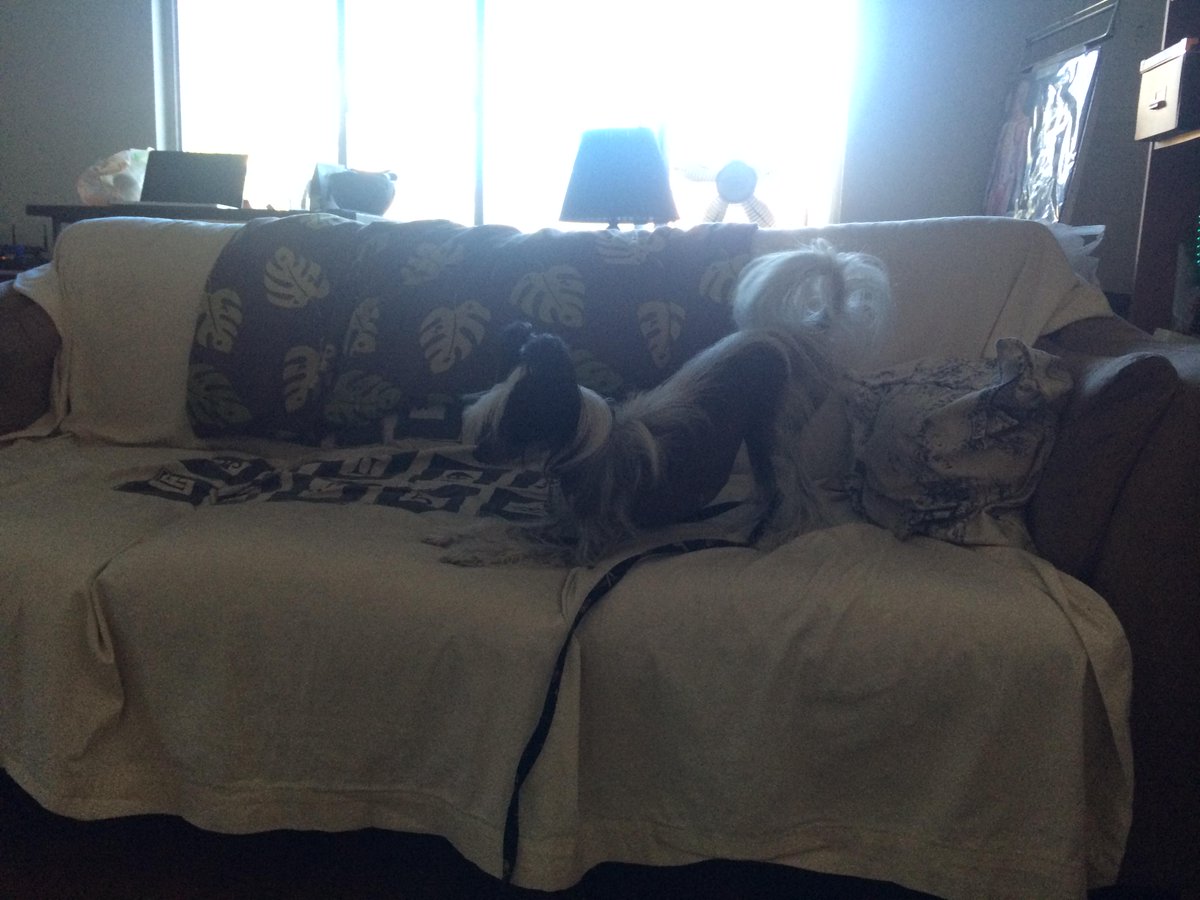 chrisflanigan's tweet photo. test message http://t.co/zlRAtazuVJ