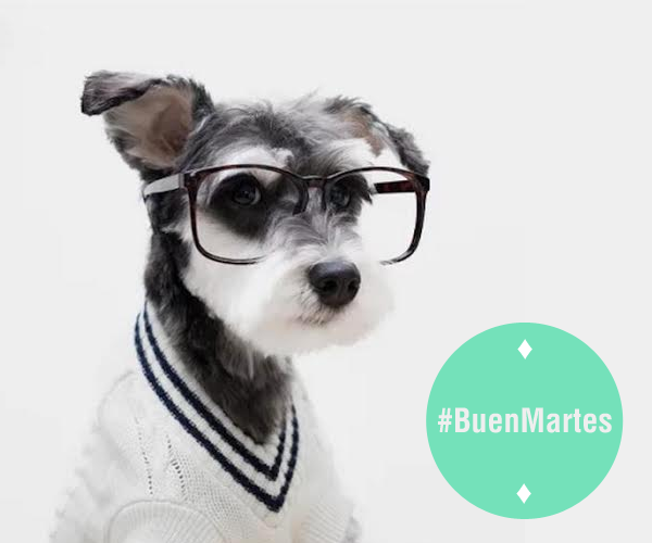 carrerasdc's tweet photo. #BuenMartes de Semana Corta!! :D Y un excelente #PrimerDiaUP a todos los ingresantes Agosto 2015!! @udepalermo http://t.co/7FzSaZMxqr