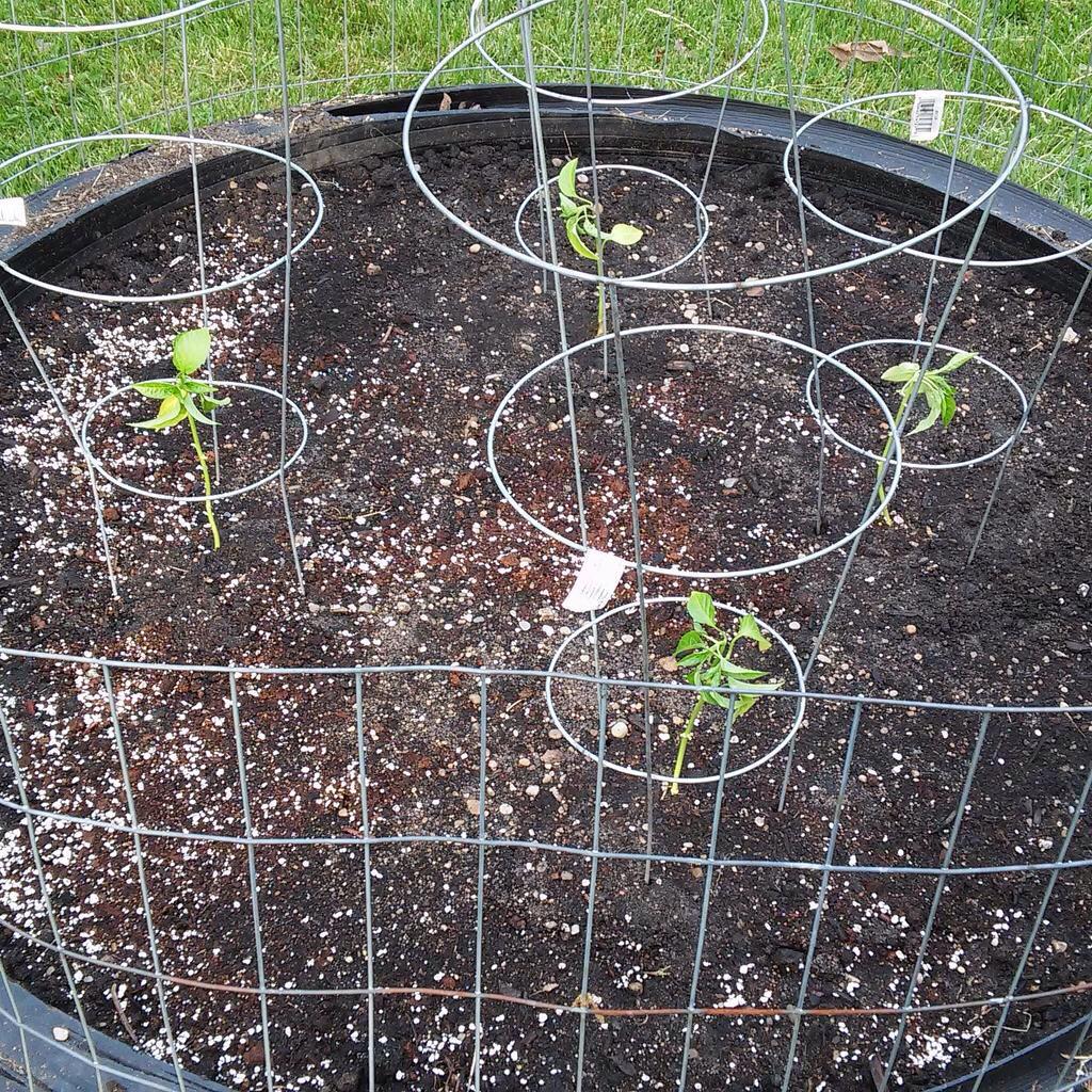 jamesjr56's tweet image. @OutnumberedMama Something very important for people with an active lifestyle like me! #ActiveProtection