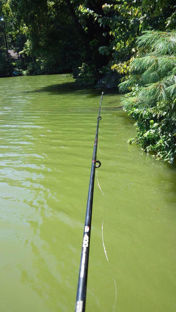 jamesjr56's tweet image. @OutnumberedMama Something very important for people with an active lifestyle like me! #ActiveProtection