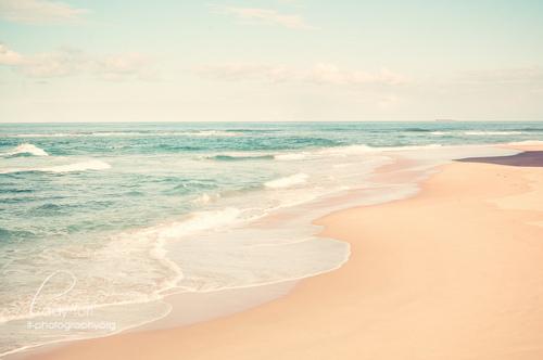 All I wanna do is get high by the beach
Get high by the beach, get high