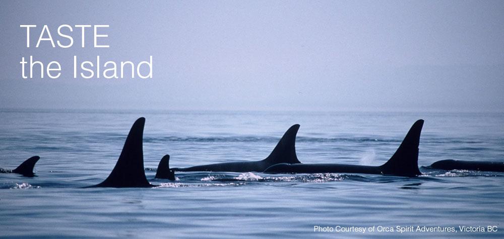 Have a Vancouver Island biz? Join TASTE! We're building an Island-wide directory! ow.ly/R3Ciz