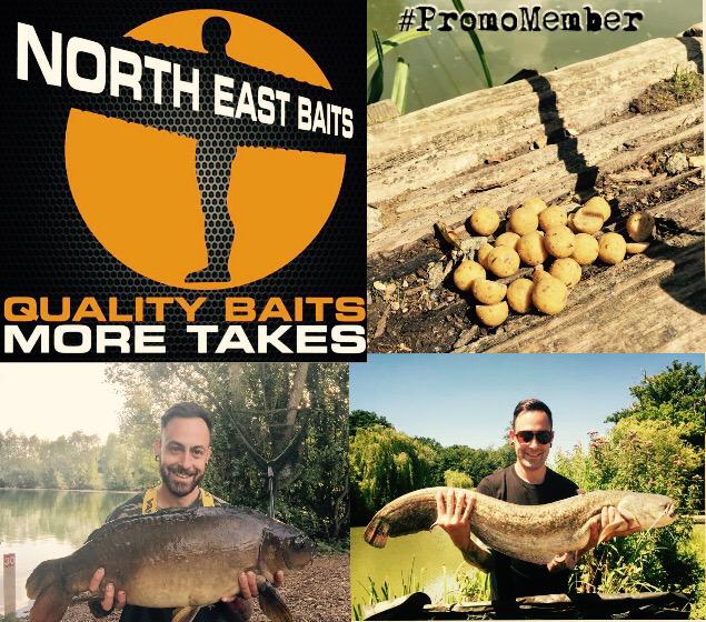 rich982's tweet image. #NorthEastBaits #PromoMember