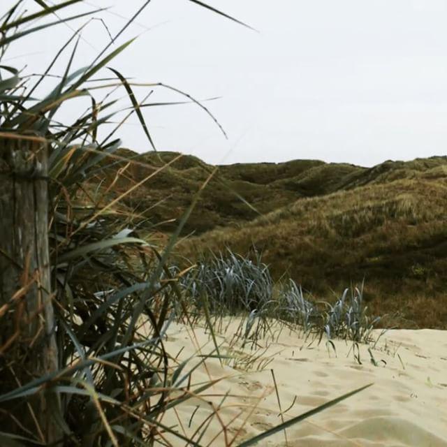 Daar is ie dan! Bekijk onze nieuwe single San Francisco Swim op YouTube: bit.ly/WatchSFS #underwater #beac…