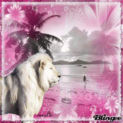 parazite932's tweet photo. http://t.co/pl2LgcxlHz