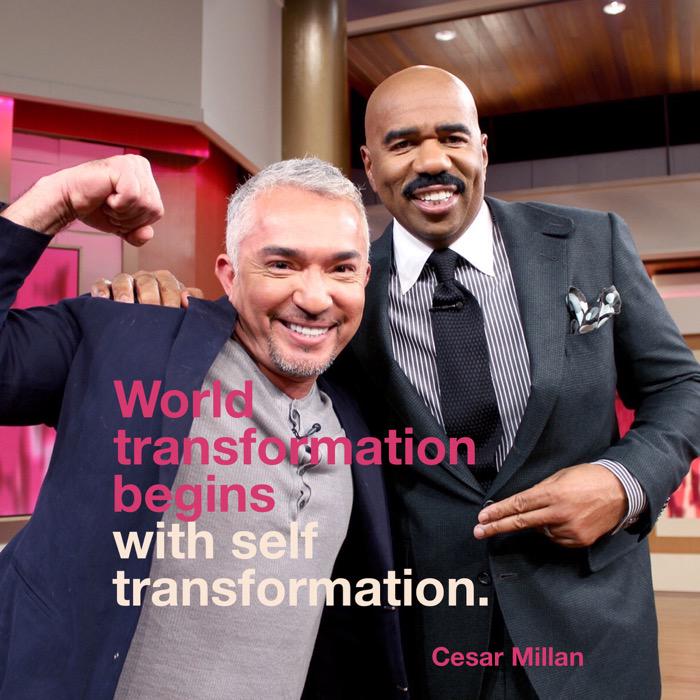 IAmSteveHarvey's tweet photo. Start working on transforming your world today! @cesarmillan http://t.co/6HzZ3wWrp4