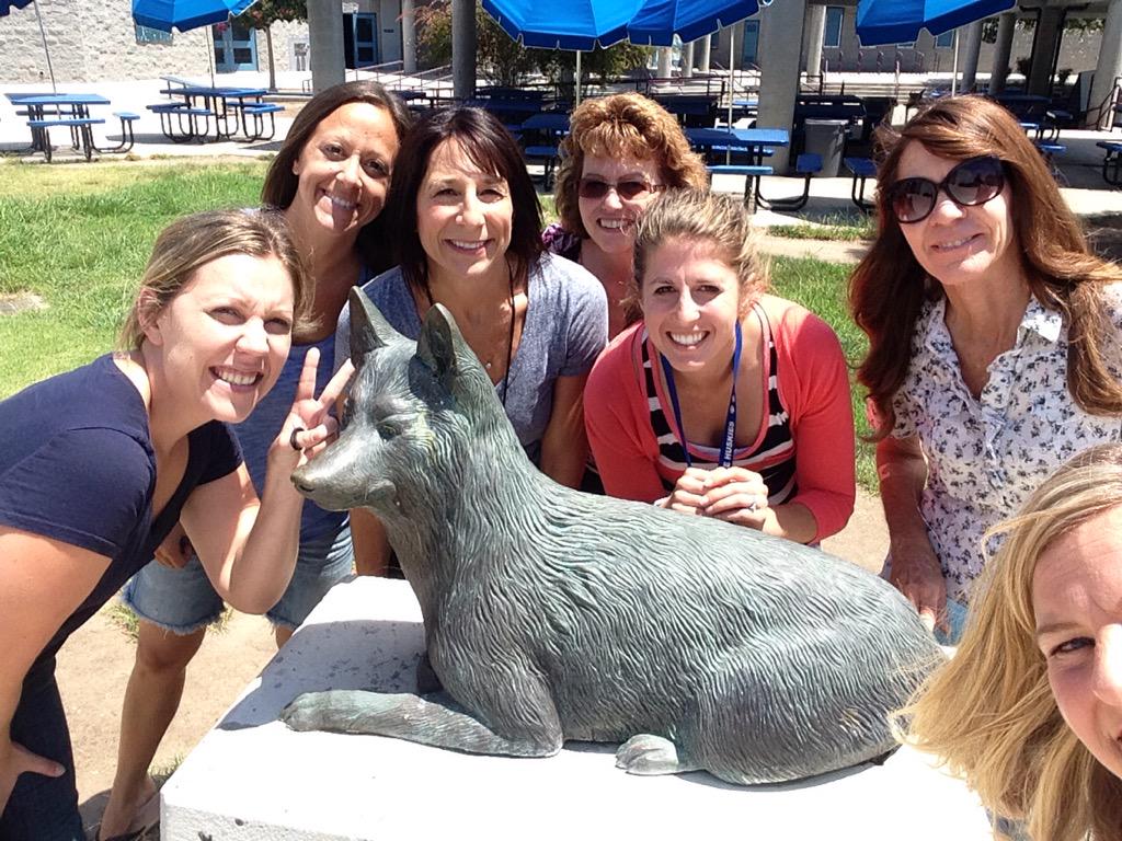 MindenTorretto's tweet photo. #hiddenhusky team 9 http://t.co/5fhcAj3Z2Y
