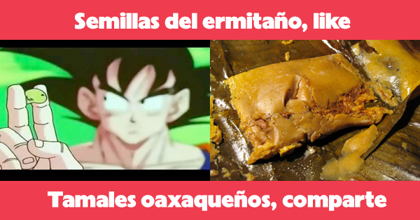 MiCanal5's tweet photo. Si los guerreros Z conocieran los tamales oaxaqueños, olvidarían las semillas del ermitaño http://t.co/00Hu3opZEI http://t.co/iECDpT9U8l
