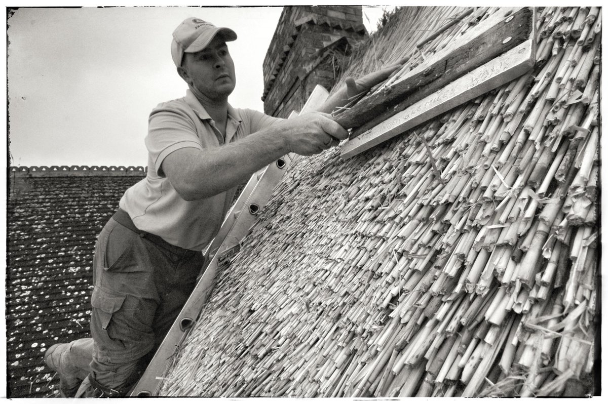 c_dodson_thatch's tweet image. It has to be just right! Dressing #waterreed into place. #thatching #masterthatchers