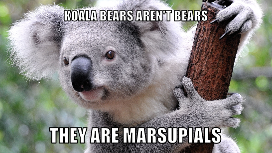 DailyKnowledge2's tweet image. 