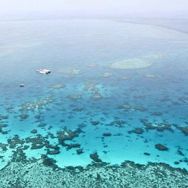 Kellie Stephenson (@kell_stephenson) on Twitter photo Happy Wednesday! Something to get you through the week! Knucklereef on <a href="/GBReefTravel/">GreatBarrierReef.com</a> <a href="/Queensland/">Queensland Australia</a> <a href="/Australia/">Australia</a> Happy Wednesday! Something to get you through the week! Knucklereef on <a href="/GBReefTravel/">GreatBarrierReef.com</a> <a href="/Queensland/">Queensland Australia</a> <a href="/Australia/">Australia</a>