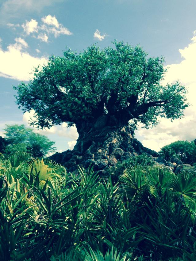 PhilPhilstott84's tweet photo. Animal kingdom http://t.co/O5Sy25OJ4G