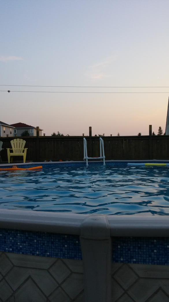 AveryHeath's tweet photo. Find the ginge http://t.co/nVcWJ9Izlg