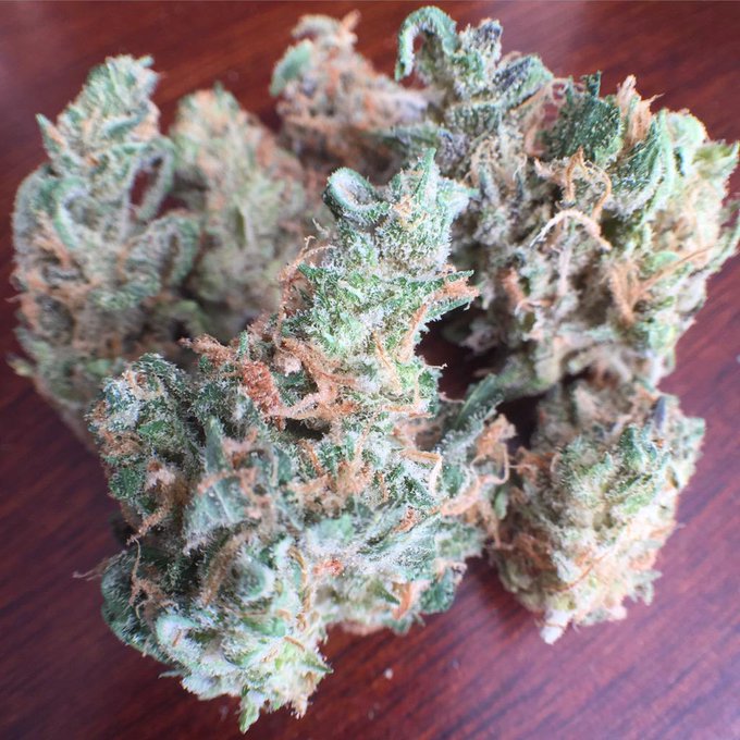Sweet Island Skunk from Florin Wellness Center in Sacramento, California 🌸🔥 http://t.co/kh0sDIbhxq<a href="/tag/teamdontsmokedoodoo"class="tags"><span>#teamdontsmokedoodoo</span></a>