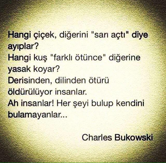 sedaakgul's tweet photo. evvet! http://t.co/pK7N2hwYRh