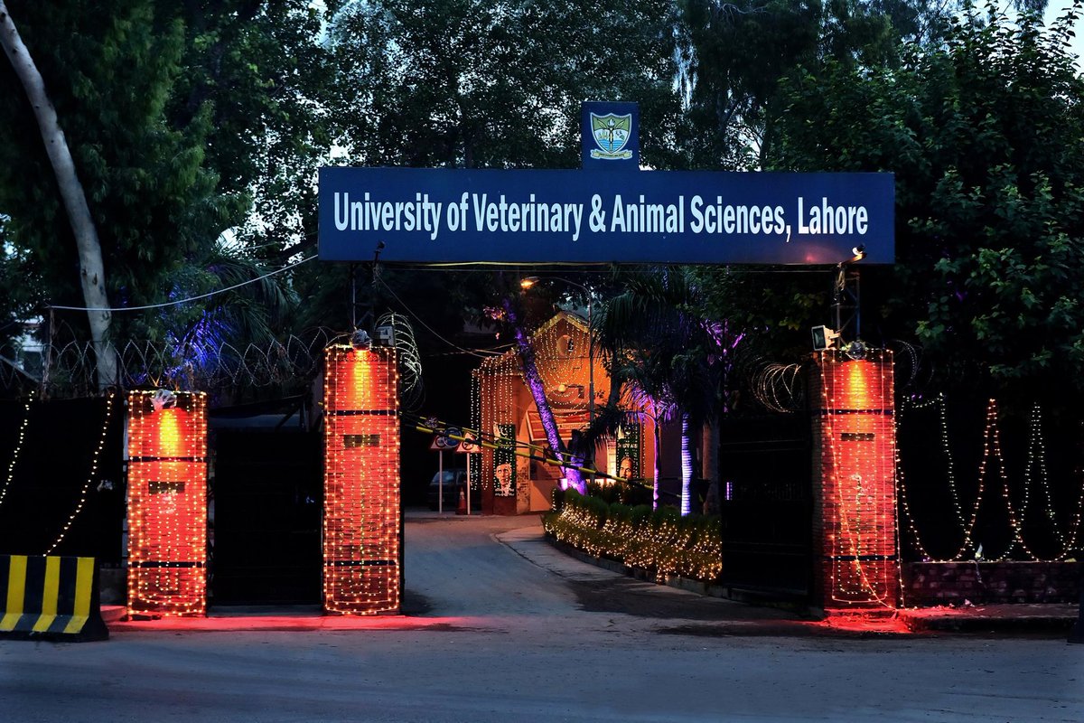UVAS Lahore on Twitter: "Some Memorable Pictures on Independence Day 14th August, City Campus Lahore UVAS http://t.co/b3gz6dfoK6"