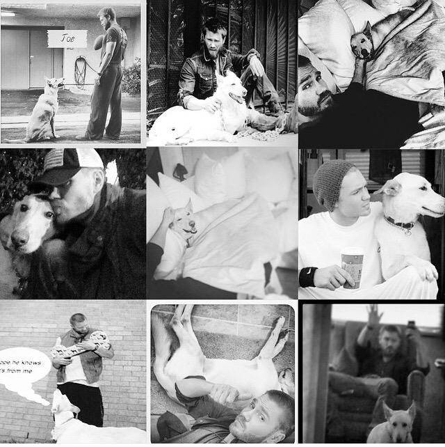 ChadMMurray's tweet photo. Good ole Joe... He will be missed my so many. Love you bud. Thankyou @Annabella924 for the collage. http://t.co/il7huqvfV1
