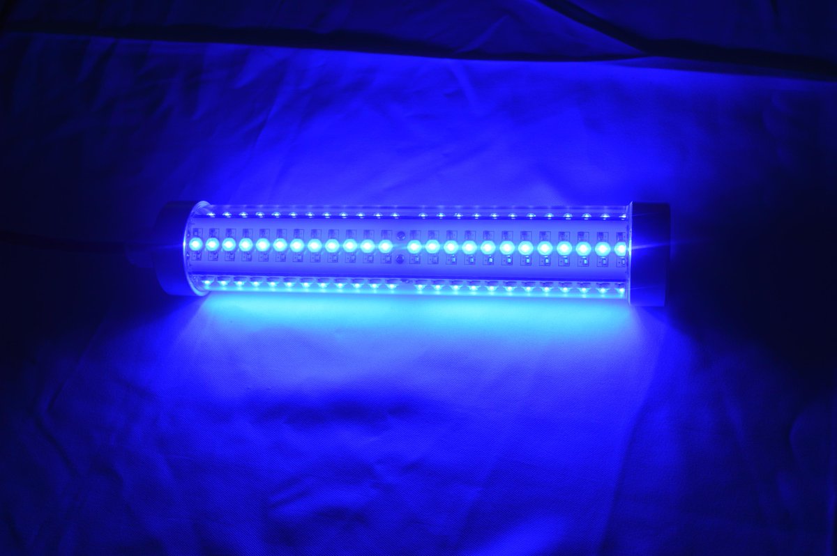ToponeChoice's tweet image. 40W-60W 12-24V light for fishing in the pool and lake.Heavy enought to sink in deep water toponechoice.com/fishing-light.…