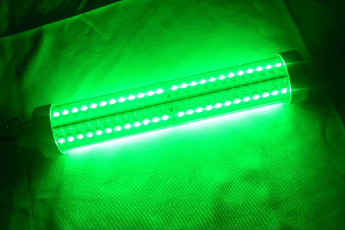 ToponeChoice's tweet image. 40W-60W 12-24V light for fishing in the pool and lake.Heavy enought to sink in deep water toponechoice.com/fishing-light.…