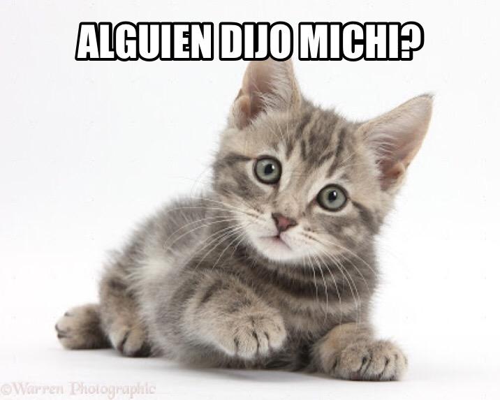 soyandrex's tweet image. La era digital en #PremiosDigi2015