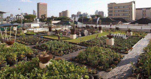 wef's tweet photo. How #cities are adapting to #climatechange http://t.co/IPJEnUuaNs http://t.co/ued0c1NHqZ