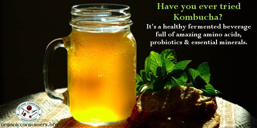 againstmonsanto's tweet photo. Kombucha is a #healthy alternative to soda and is fun to make! Learn more! http://t.co/BWnyGcOIIG @Mercola http://t.co/qyaGbrGQi9